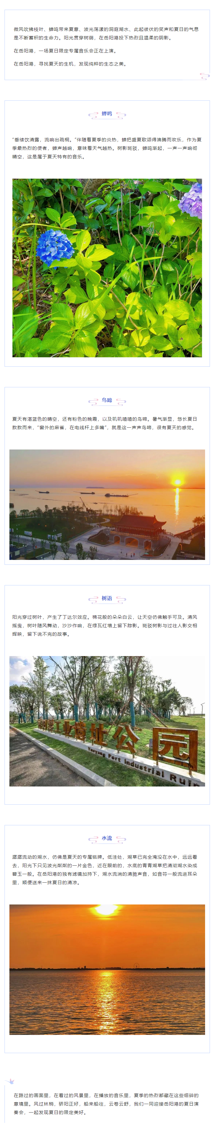 【夏日演奏會(huì )】在岳陽(yáng)港，聆聽(tīng)夏天的聲音.png